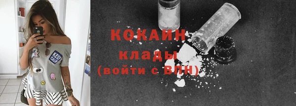 индика Узловая