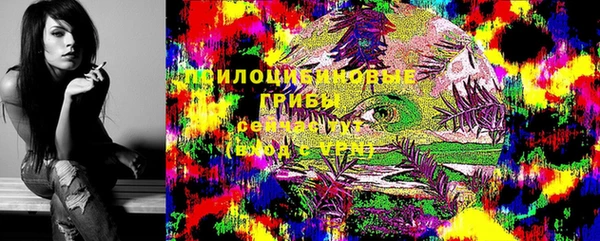 прущая мука Бронницы