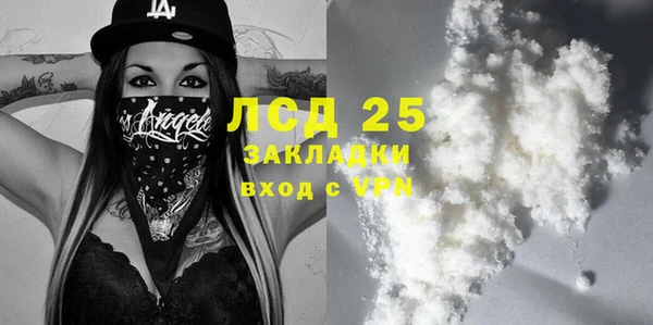 индика Удомля