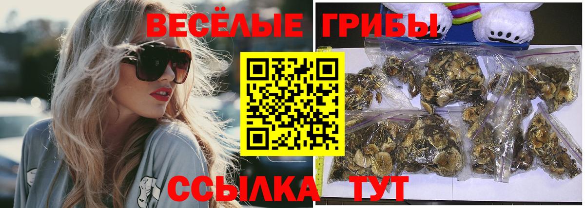 Златоуст  Псилоцибиновые грибы мицелий  Вход с VPN 
